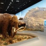 Tempora’s ‘Kunst van Herinnering’ – project rondt af met grote reizende tentoonstelling in 2026